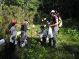 Voluntarios desarrollan labores de señalización de un vallado