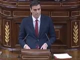 Pedro Sánchez, en eld ebate sobre medidas contra la corrupción.