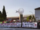 Los trabajadores de Coca-Cola, en la concentración que han realizado ante la sede de su empresa en Palma de Mallorca, en protesta por el cierre anunciado de su delegación.