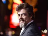 El actor Benicio del Toro.