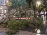 Imagen de Emergencias de Madrid de un árbol caído en el centro de la ciudad.