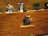 Diputada de Podemos en el Pleno.