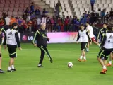 El seleccionador espa&ntilde;ol, Vicente Del Bosque (c), dirige un entrenamiento en la v&iacute;spera del partido de clasificaci&oacute;n para la Eurocopa 2016 que les enfrenta a Luxemburgo.