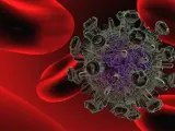Modelo tridimensional del virus del sida elaborado por el Centro Superior de Investigaciones Cient&iacute;ficas (CSIC).