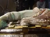 Calamar gigante capturado en las costas asturianas