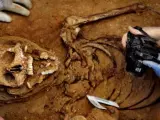 Los arqueólogos en los trabajos de exhumación de la fosa 2 del cementerio de Guadalajara, la de Timoteo Mendieta.