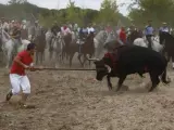 Momento en el que el toro 'Elegido' es abatido por el lancero Álvaro Martín 'Portu' en el Toro de la Vega 2014.