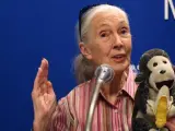 La primatóloga británica, Jane Goodall, embajadora de Paz de la ONU, ofrece una rueda de prensa, en La Habana (Cuba). Goodall anunció que quiere impulsar en la isla caribeña su programa de desarrollo de comunidades para jóvenes Roots and Shoots (Raíces y brotes).