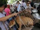 Un vendedor de perros muestra su mercancía en un mercado de la ciudad de Yulin (China). Los canes son el plato principal de la mayoría de los banquetes para celebrar la llegada del verano.