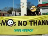 Manifestación contra los transgénicos de Greenpeace.