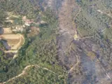 Área afectada por el incendio de Blanes