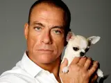 El cabreo de Jean-Claude Van Damme que se ha hecho viral