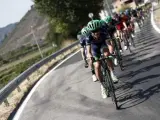 El pelotón durante la sexta etapa de la Vuelta Ciclista a España 2016, disputada entre la localidad lucense de Monforte de Lemos y la orensana de Luintra en la Ribeira Sacra, con un recorrido de 163,2 kilómetros.