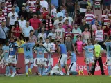 Los jugadores del Eibar celebran uno de los goles ante el Granada.