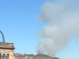 Una columna de humo es visible desde zonas altas de Barcelona debido a un incendio que se ha declarado en Roquetes, en Collserola.