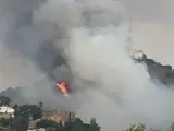 Se ha declarado un nuevo incendio en Collserola.