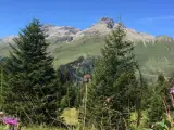 Imagen del parque natural Alp Flix (Suiza)