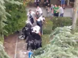 Ultras del Legia de Varsovia agrediendo a agentes de la Policía Nacional.
