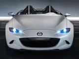 El Mazda MX-5 Speedster Evolution es un prototipo que parte de un MX-5 de serie que, a su vez, es una evolución de otro prototipo denominado Mazda MX-5 Speedster que fue presentado en 2015.