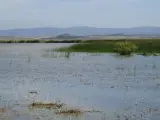 Laguna de Pitillas