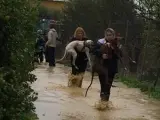 Voluntarios rescatando a los perros tras las inundaciones.