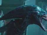 Nueva imagen de 'Alien: Covenant': ¿Se ha convertido Ridley Scott en James Cameron?