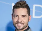 El cantante David Bisbal.