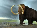 Reproducción de un mamut lanudo.