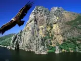 El r&iacute;o Tajo a su paso por el Parque Nacional de Monfrag&uuml;e.