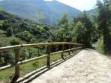 Senda verde, Asturias, caminos naturales