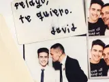 Imagen que muestra la emotiva despedida de Pelayo Díaz en Instagram, tras la muerte de su novio, David Delfín.