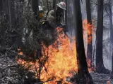 Efectivos de bomberos luchan contra las llamas en Portugal.