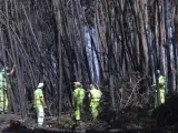 Trabajadores municipales cortan árboles carbonizados junto a la IC8 entre Avelar y Pedrogao Grande, en Portugal