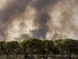 Imagen de este domingo del incendio declarado en Moguer (Huelva).
