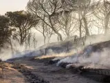 Cuesta Maneli, calcinada tras el incendio junto a Doñana.