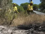 Efectivos del Infoca realizan tareas de refresco una vez controlado el fuego en Doñana.