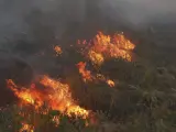 Vista de las llamas que asolan las Minas de Riotinto, en Huelva.