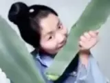 La 'vlogger' china Sra. Zhang se envenena al comer una planta que creía que era aloe vera.