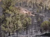 Aspecto tras el incendio forestal declarado en Minas de Riotinto (Huelva).