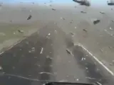 Imagen del vídeo en el que se ve a un conductor atravesando con su vehículo una densa "nube" de langostas.