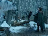 'Juego de tronos': ¿Qué significa el encuentro entre Arya y su loba?