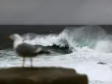 Las olas rompen contra la costa de la ciudad de A Coruña.