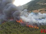 Incendio forestal en Vallbona de les Monges (Lleida)