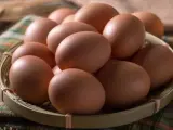 Los huevos criados por gallinas enjauladas son perjudiciales para la salud humana, pues las gallinas están más expuestas a enfermedades.