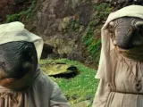 'Star Wars: Los últimos Jedi' revela nuevas criaturas