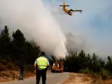 Una avioneta trata de extinguir un incendio forestal.