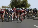Una imagen de una etapa de la Vuelta.