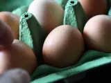 Vista de un cartón de huevos.