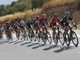 El grupo de ciclistas escapados durante la octava etapa de la Vuelta a España que se ha disputado entre Hellín y Xorret de Catí con un recorrido de 199,5 kilómetros.