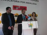 IU presenta enmiendas para Málaga en el presupuesto de la Junta por más de 106 millones